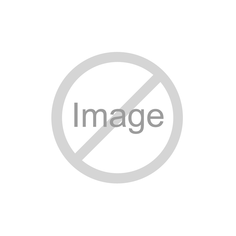 RILLETTES D'OIE 80G RILLETTES D'OIE 80G